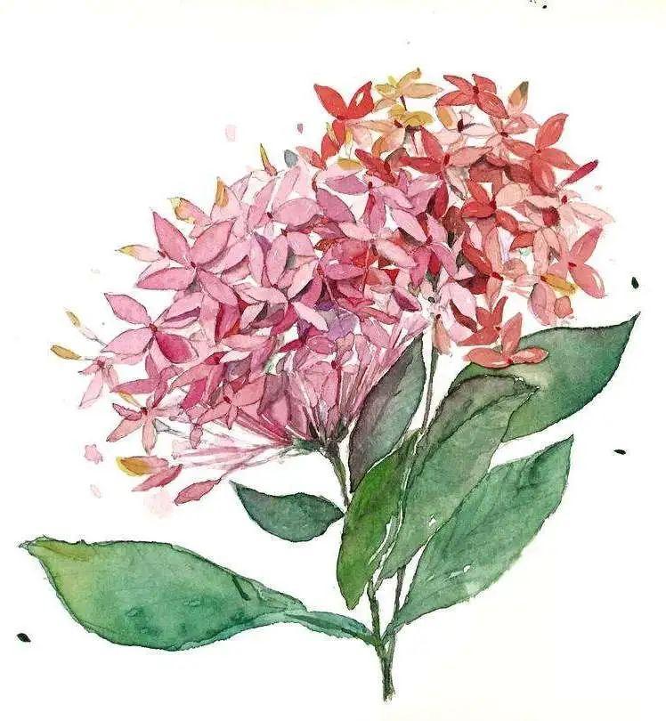 走！出门打卡深圳这“花花世界”