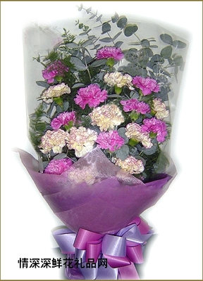 深圳花卉 都市繁华中的自然诗篇