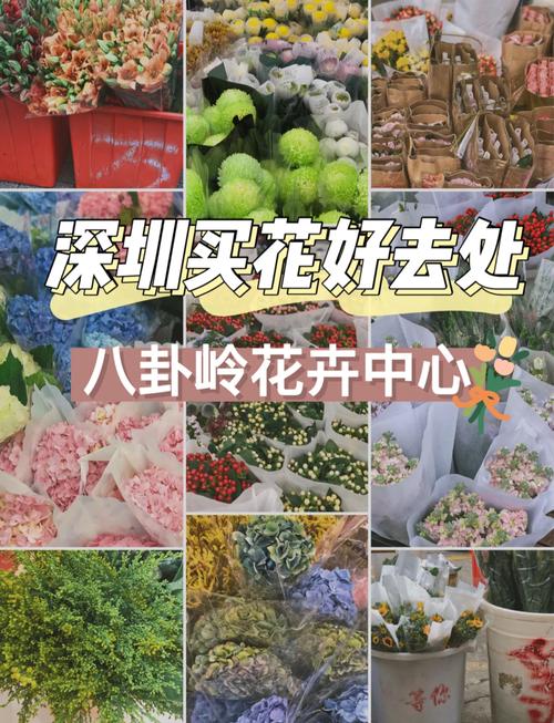 深圳买花攻略 从大型市场到社区花店，寻香觅色全指南