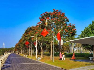 深圳四月花历 繁花盛宴，赴一场岭南春日之约